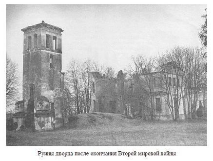 Руины дворца после окончания Второй мировой войны